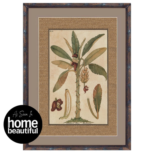 Hamptons Home Dark Rattan Banana Palm Framed Artwork | Hamptons Home