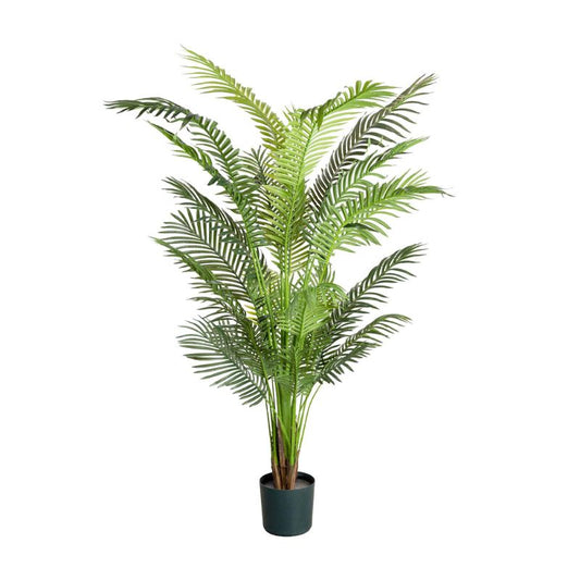 Areca Palm 183 cm H | Hamptons Home | Hamptons Home