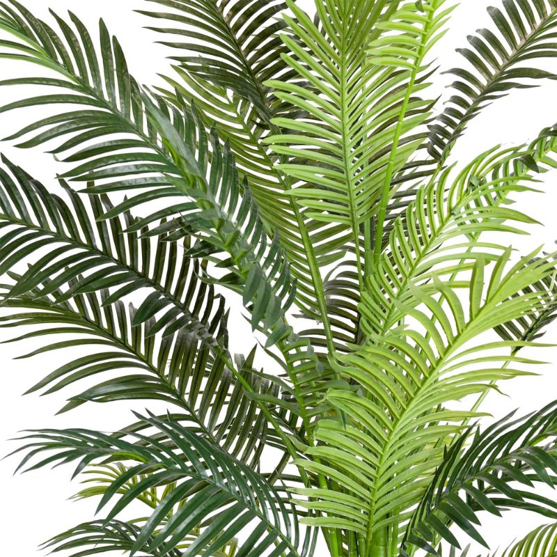 Areca Palm 213 cm H | Hamptons Home | Hamptons Home