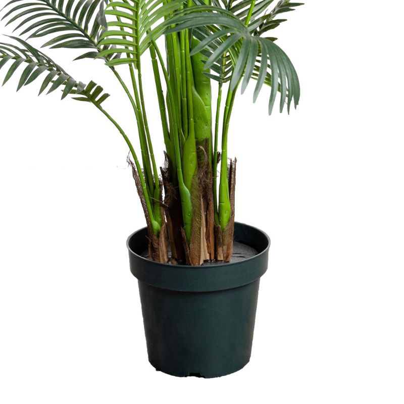 Areca Palm 213 cm H | Hamptons Home | Hamptons Home