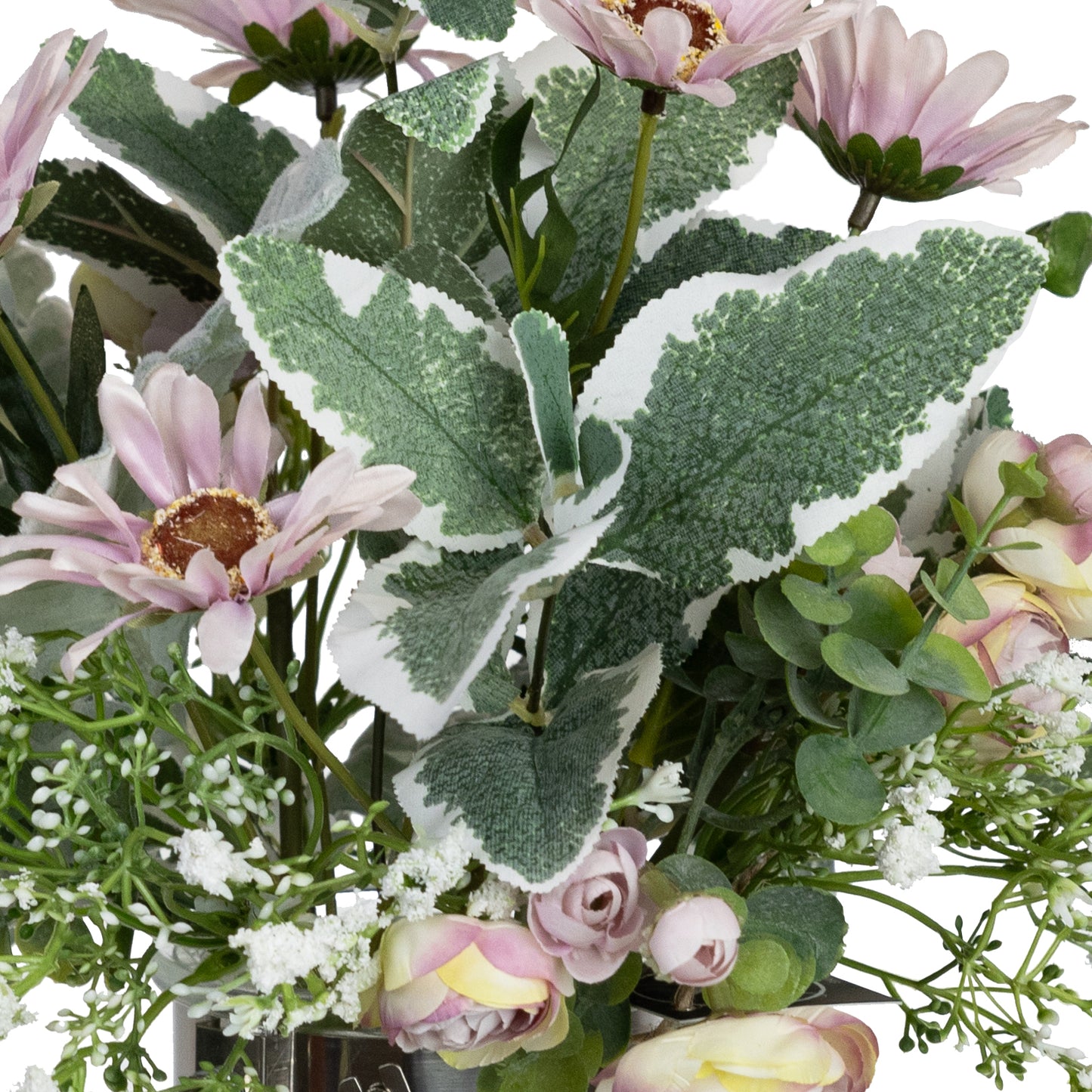 Eutomosa & Gypso Mixed Arrangement in Maison Jar 35cm H | Hamptons Home