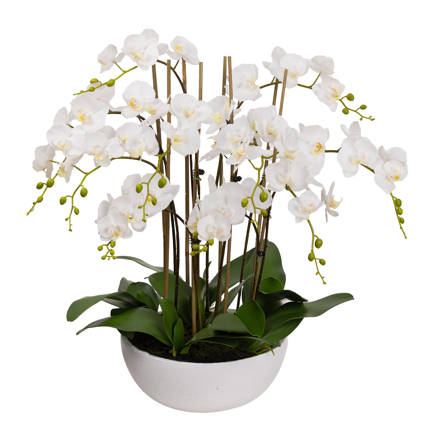 Real Touch Phalaenopsis Orchids in Pot 75 cm
