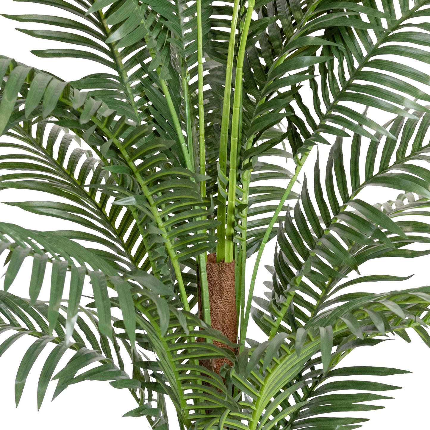 Phoenix Palm Tree 183 cm H