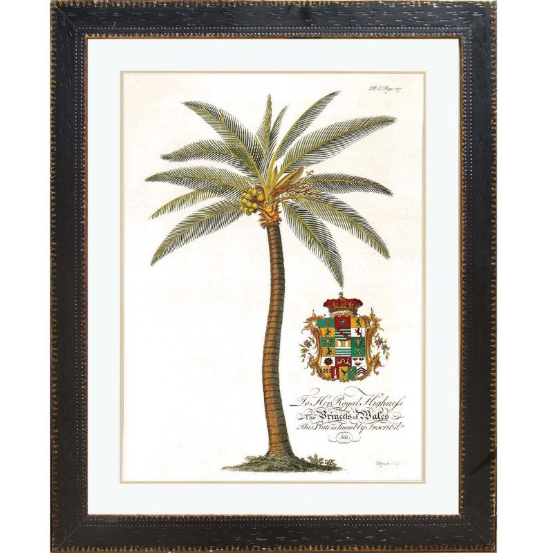 XY Cocos Palm Framed Wall Art | Hamptons Home | Hamptons Home