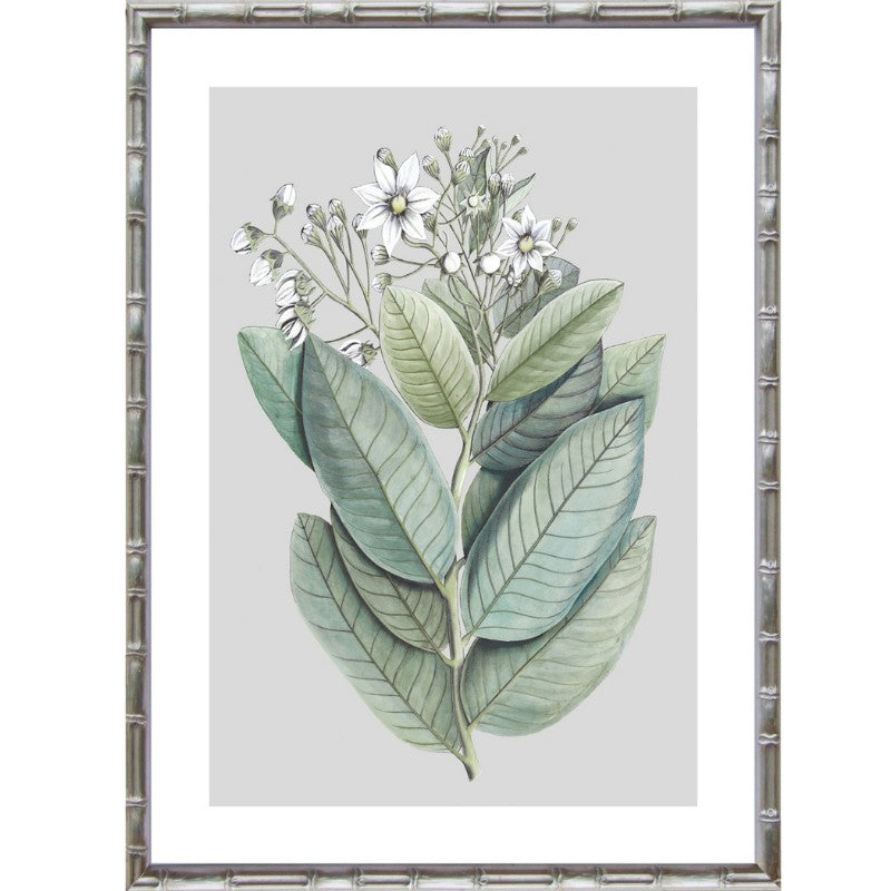 Silver Botanical Bamboo Framed Wall Art | Hamptons Home | Hamptons Home