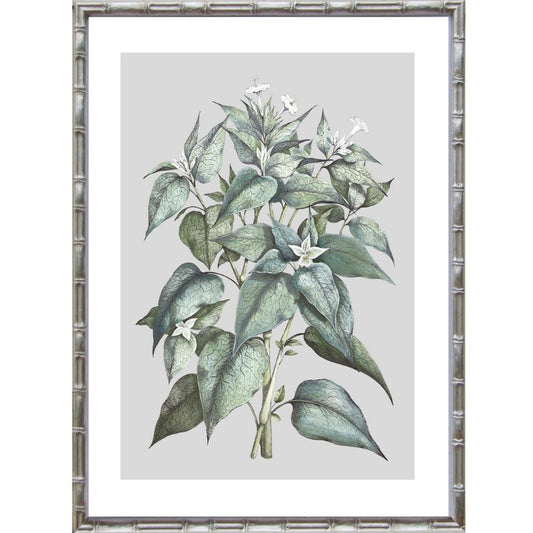 Silver Botanical Bamboo Framed Wall Art | Hamptons Home | Hamptons Home
