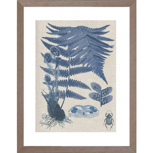 Fern Blue Framed Wall Art | Hamptons Home | Hamptons Home