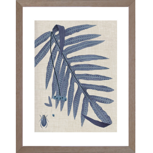 Fern Blue Framed Wall Art | Hamptons Home | Hamptons Home
