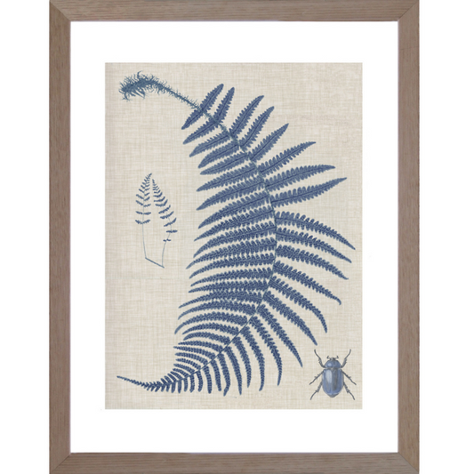 Fern Blue Framed Wall Art | Hamptons Home | Hamptons Home