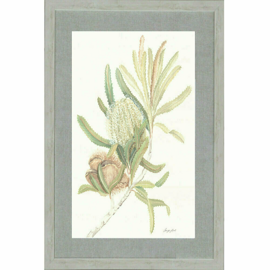 Floral Light Banksia | Hamptons Home | Hamptons Home