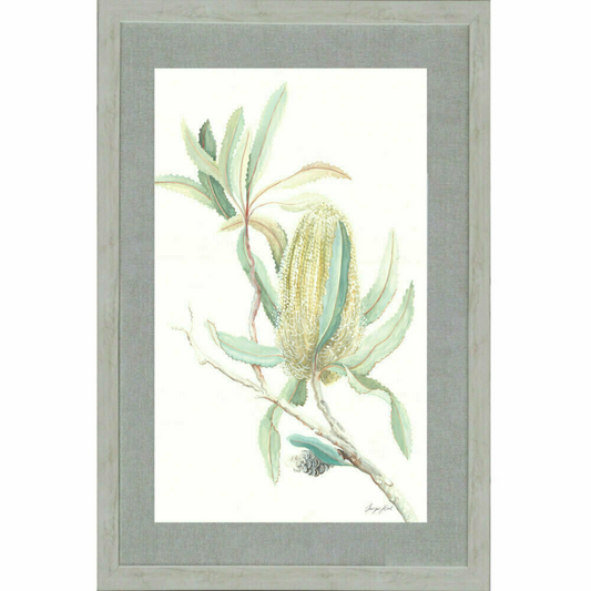 Floral Light Banksia | Hamptons Home | Hamptons Home