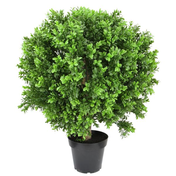 New Boxwood Ball in Pot 70 cm H | Hamptons Home | Hamptons Home