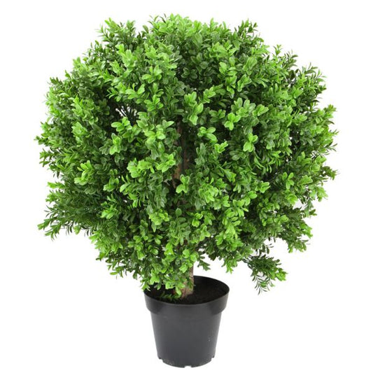 New Boxwood Ball in Pot 70 cm H | Hamptons Home | Hamptons Home