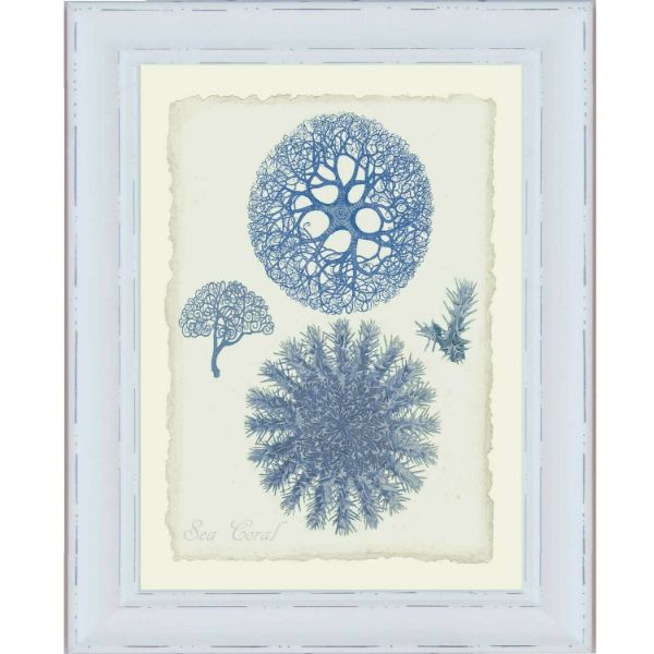 Blue Coral White Framed Wall Art (Design 1) | Hamptons Home | Hamptons Home