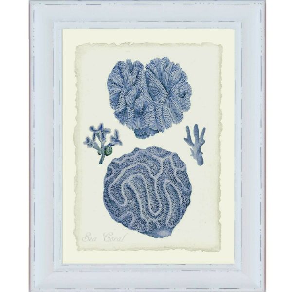Blue Coral White Framed Wall Art (Design 2) | Hamptons Home | Hamptons Home