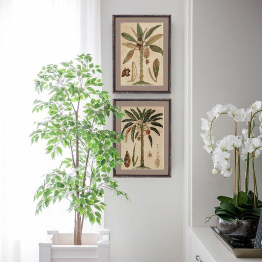 Hamptons Home Date Palm Small Framed Artwork | Hamptons Home