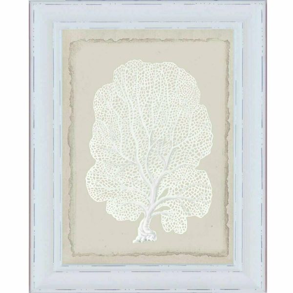 White Coral White Framed Wall Art | Hamptons Home | Hamptons Home
