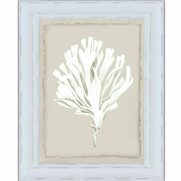 White Coral White Framed Wall Art | Hamptons Home | Hamptons Home