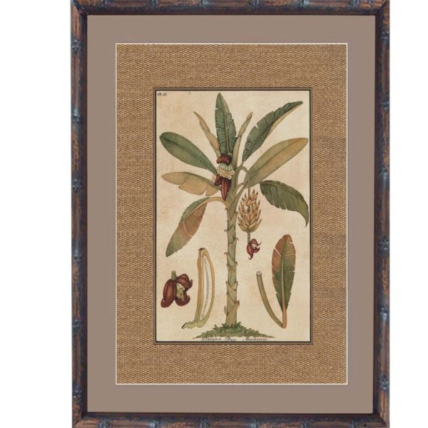 Hamptons Home Dark Rattan Banana Palm Framed Artwork | Hamptons Home