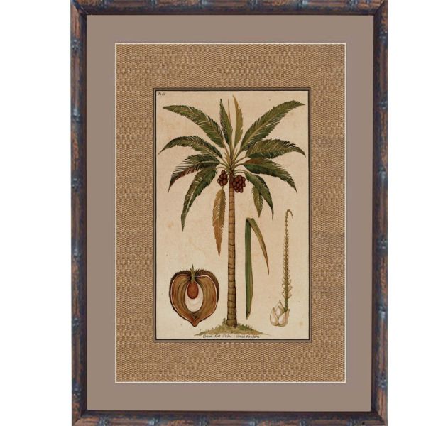 Hamptons Home Dark Rattan Cocoa Palm Framed Artwork | Hamptons Home