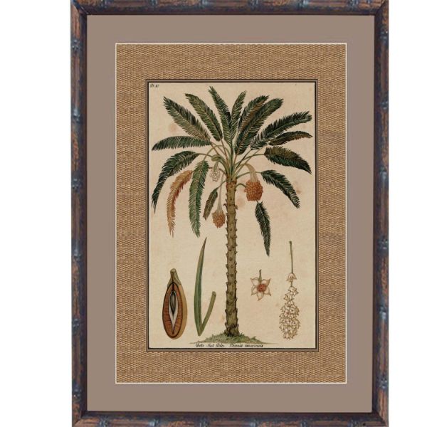 Hamptons Home Dark Rattan Date Nut Framed Artwork | Hamptons Home