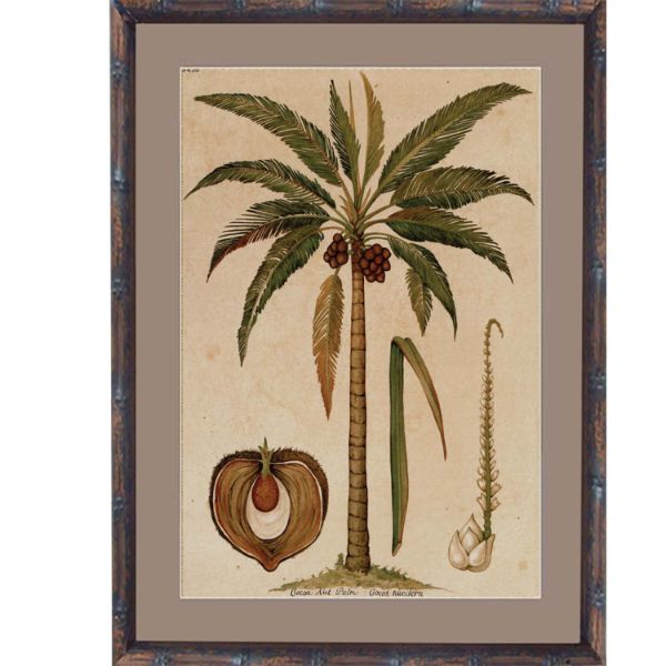 Hamptons Home Cocoa Palm Small Framed Artwork | Hamptons Home