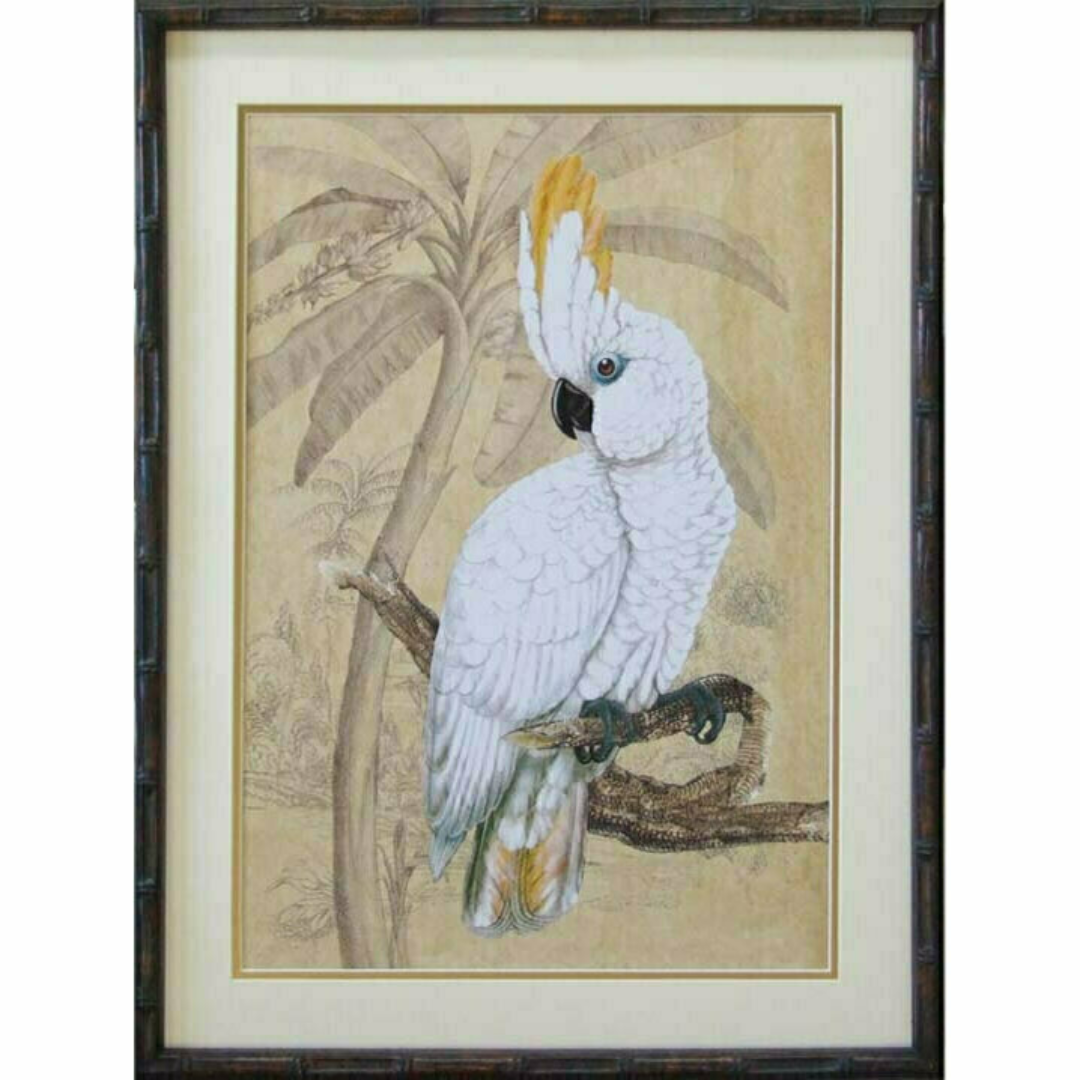 Sulphur Crested Cockatoo 1 | Hamptons Home | Hamptons Home