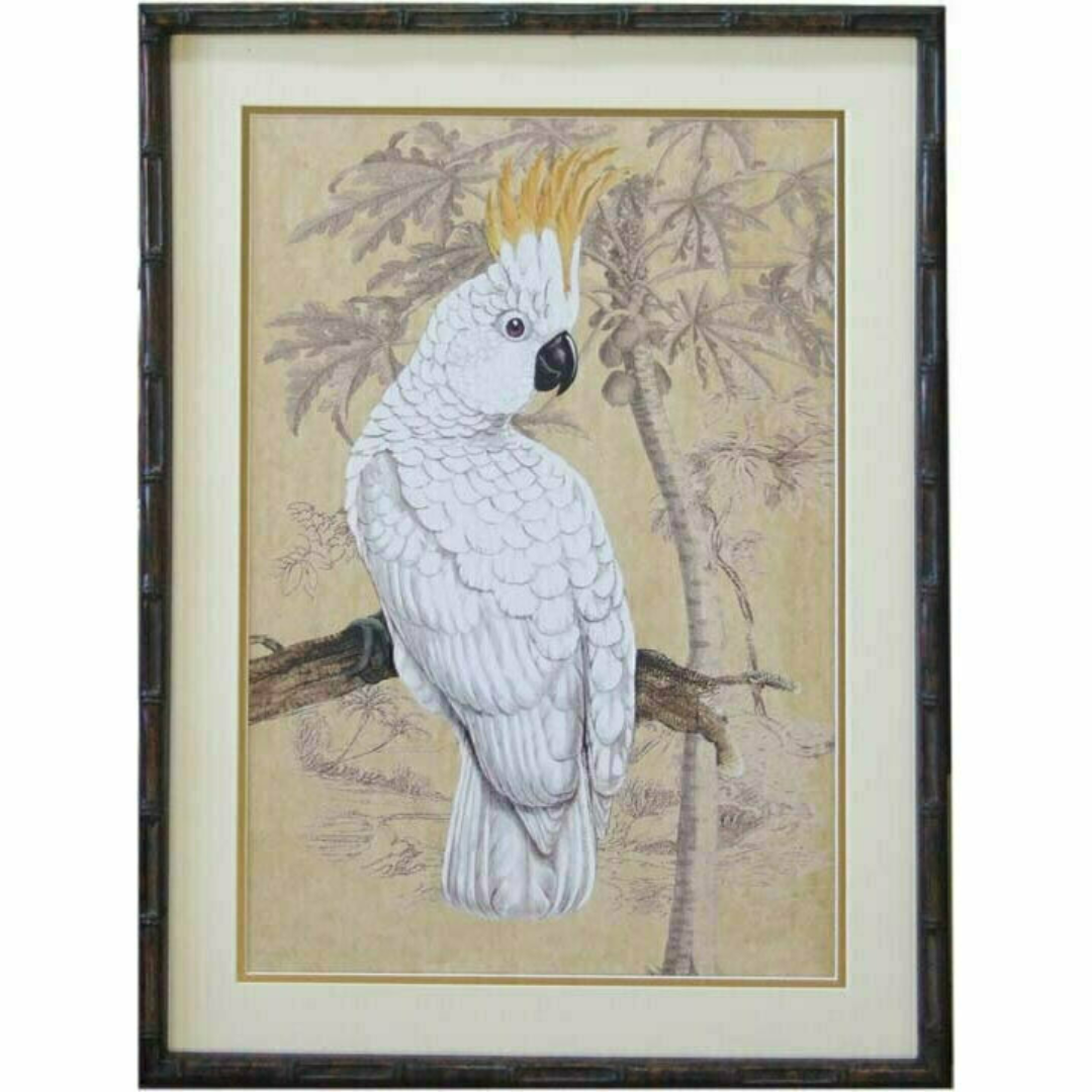 Sulphur Crested Cockatoo 2 | Hamptons Home | Hamptons Home