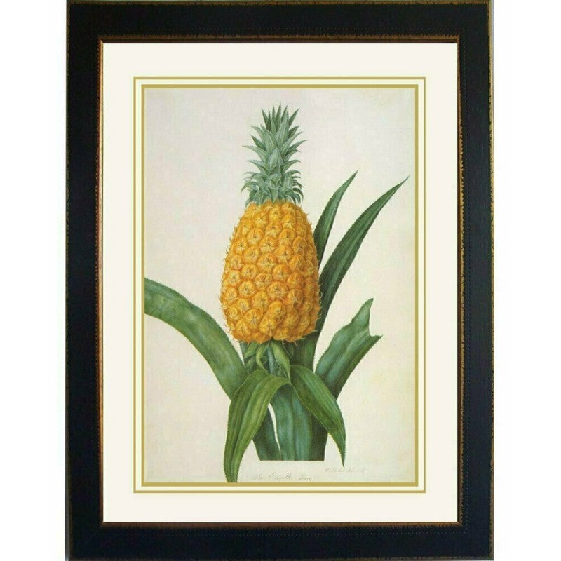 Hooker Pineapple Enville Framed Wall Art | Hamptons Home | Hamptons Home