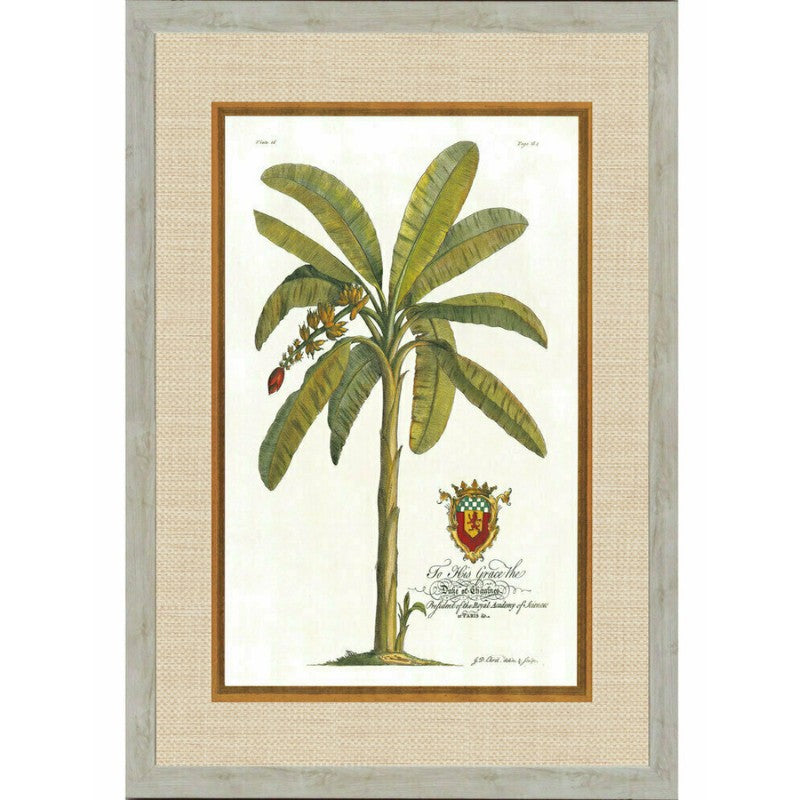 Rattan Banana Palm Framed Wall Art | Hamptons Home | Hamptons Home