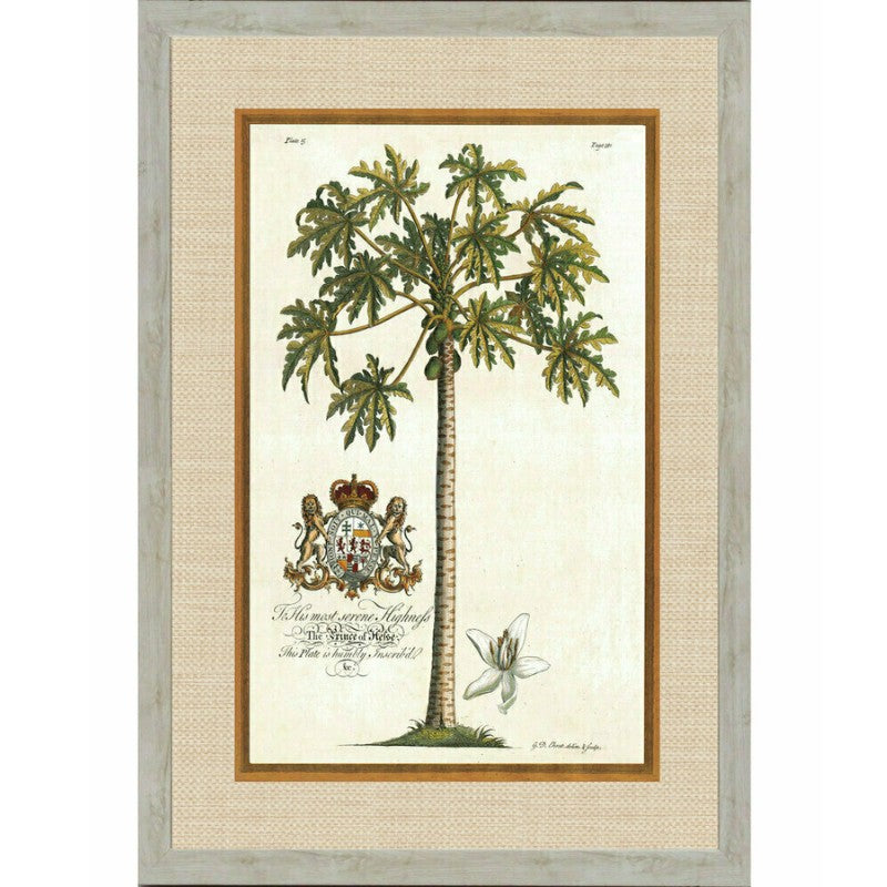 Rattan Pawpaw Palm Framed Wall Art | Hamptons Home | Hamptons Home