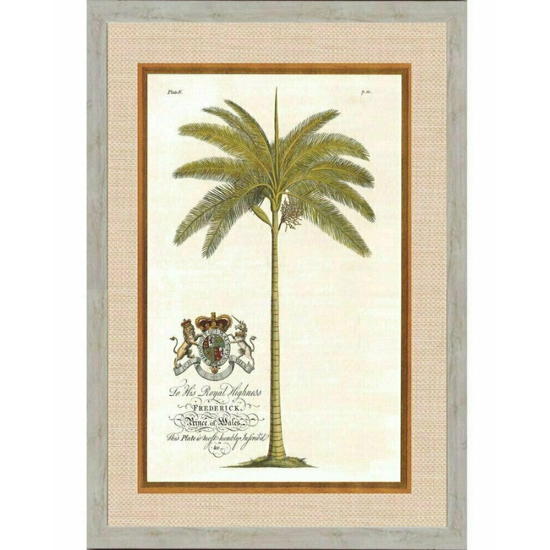 Rattan Royal Palm Framed Wall Art | Hamptons Home | Hamptons Home