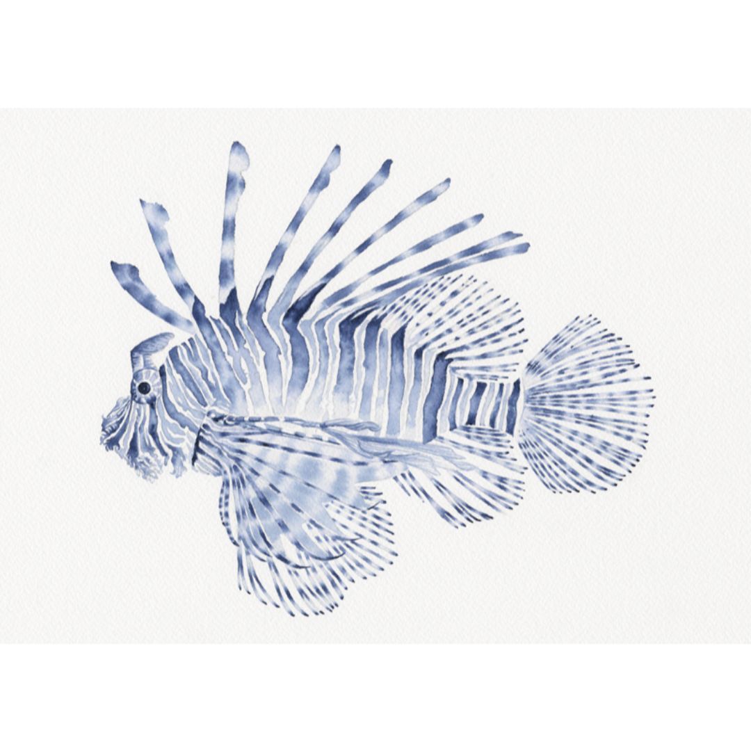 Lionfish Blue and White Art Print | Hamptons Home | Hamptons Home