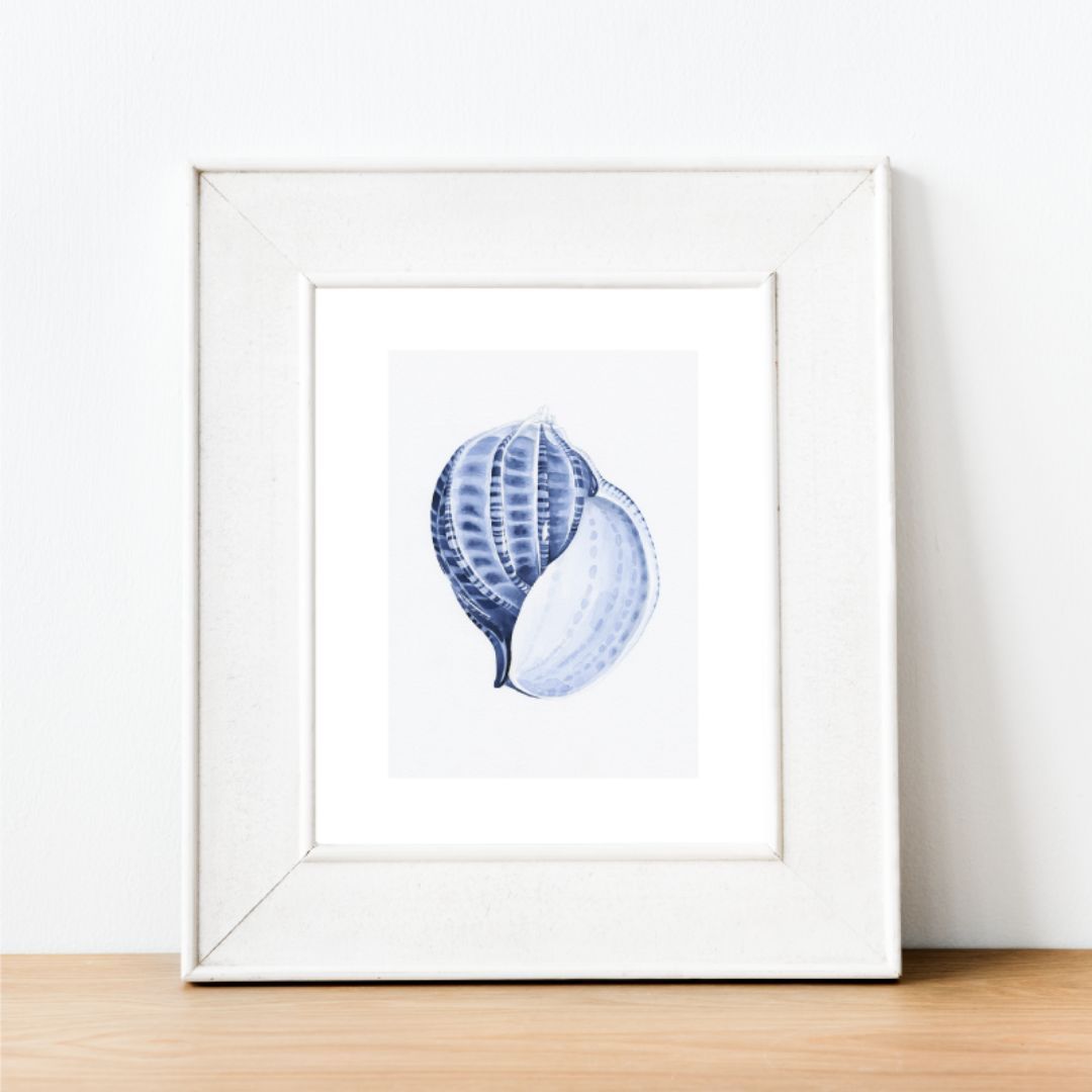 Scotch Bunnet Blue and White Art Print | Hamptons Home | Hamptons Home