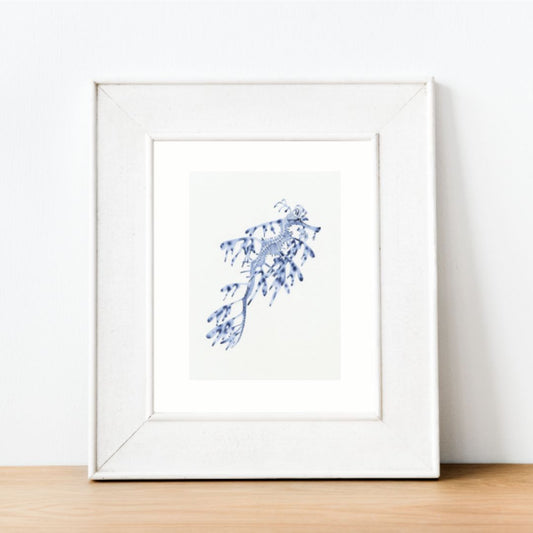 Weedy Seadragon Blue and White Art Print | Hamptons Home | Hamptons Home