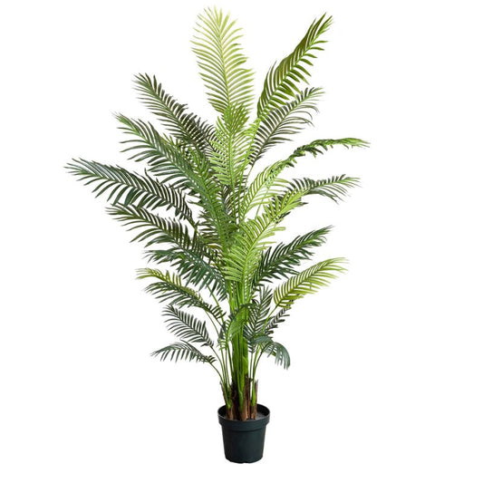Areca Palm 213 cm H | Hamptons Home | Hamptons Home
