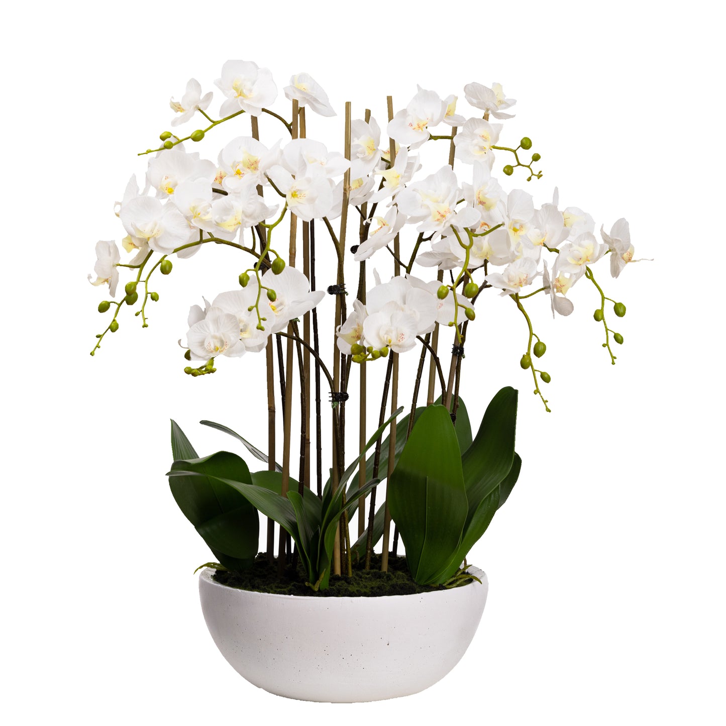 Real Touch Phalaenopsis Orchids in Pot 75 cm