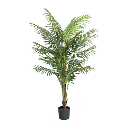 Phoenix Palm Tree 183 cm H