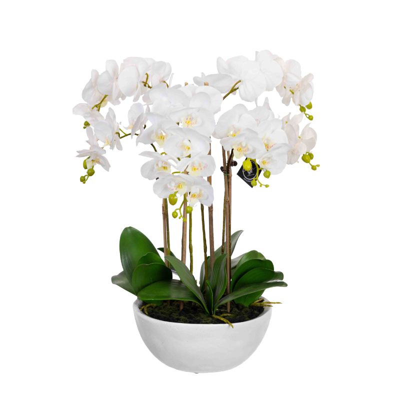 Real Touch Giant Faux Phalaenopsis Orchids in White Bowl 55 cm | Hamptons Home