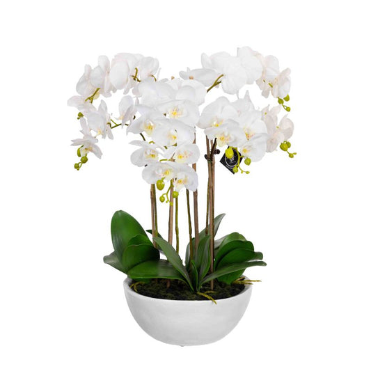 Real Touch Giant Faux Phalaenopsis Orchids in White Bowl 55 cm | Hamptons Home