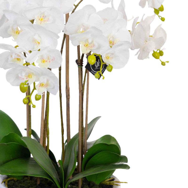 Real Touch Giant Faux Phalaenopsis Orchids in White Bowl 55 cm | Hamptons Home