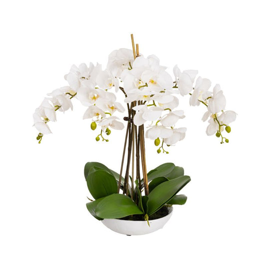 Real Touch White Phalaenopsis Orchids in Bowl 50 cm H | Hamptons Home