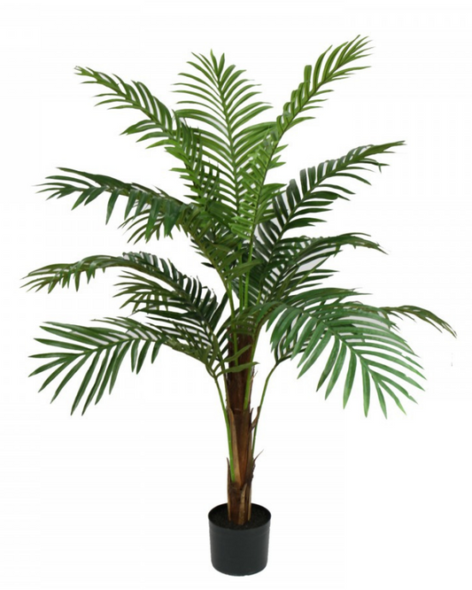 Phoenix Palm Tree 122 cm H | Hamptons Home | Hamptons Home