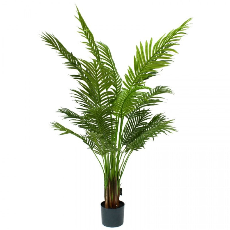 Areca Palm Tree137 cm H | Hamptons Home | Hamptons Home