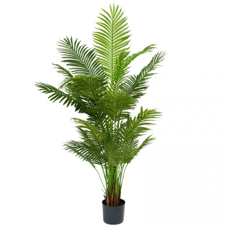 Areca Palm 183 cm H | Hamptons Home | Hamptons Home