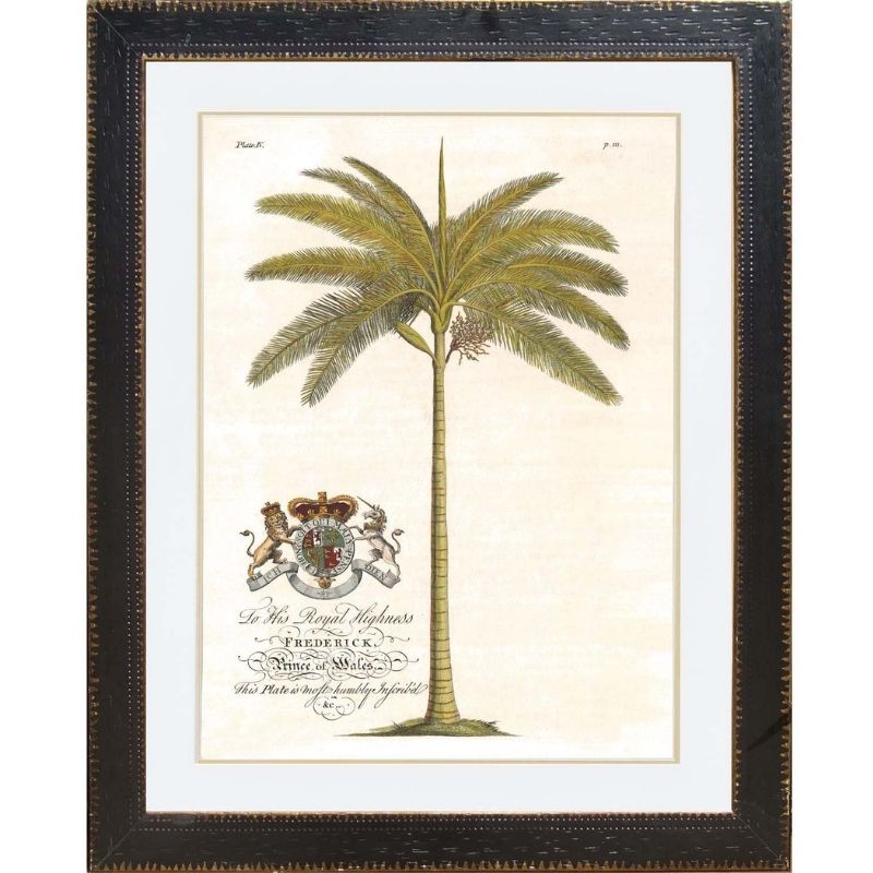 XY Royal Palm Framed Wall Art | Hamptons Home | Hamptons Home