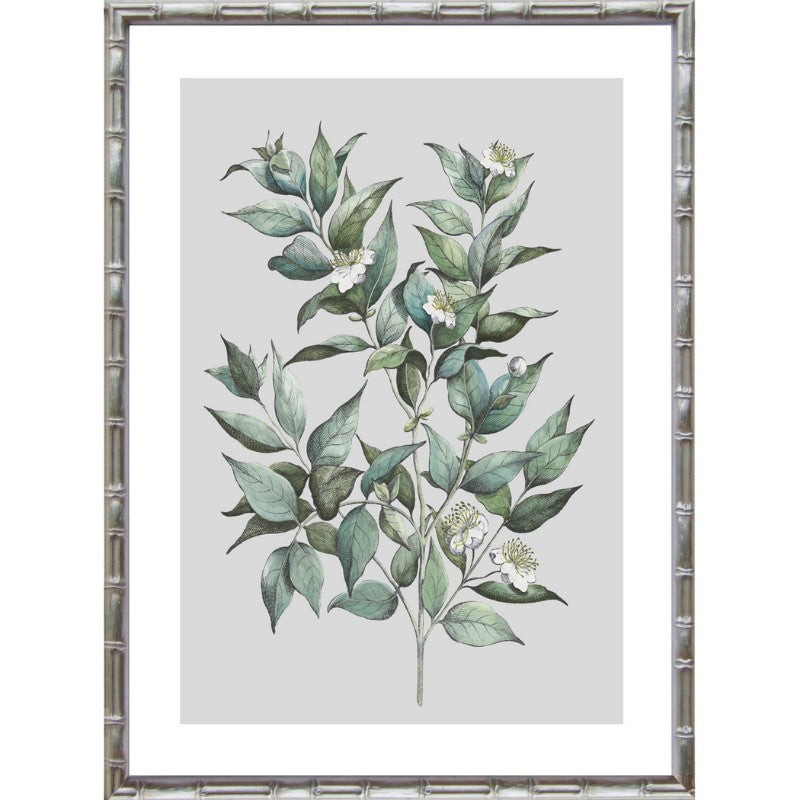 Silver Botanical Bamboo Framed Wall Art | Hamptons Home | Hamptons Home