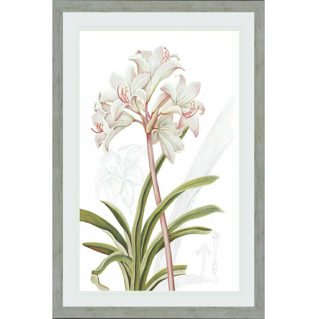 Floral Light Lily (Design 1) | Hamptons Home | Hamptons Home