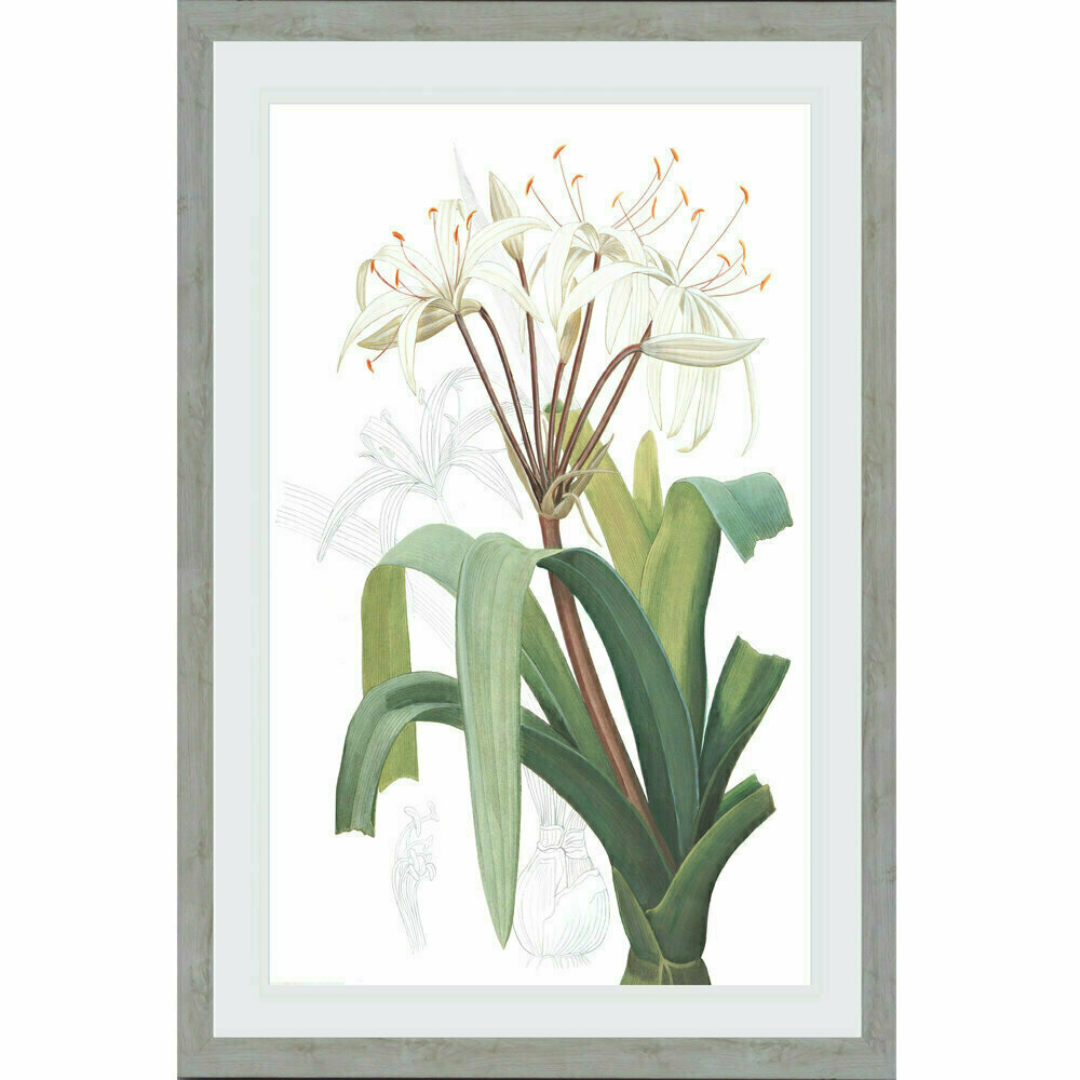 Floral Light Lily (Design 2) | Hamptons Home | Hamptons Home