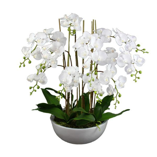 Real Touch Phalaenopsis Orchids in Pot 75 cm H | Hamptons Home | Hamptons Home